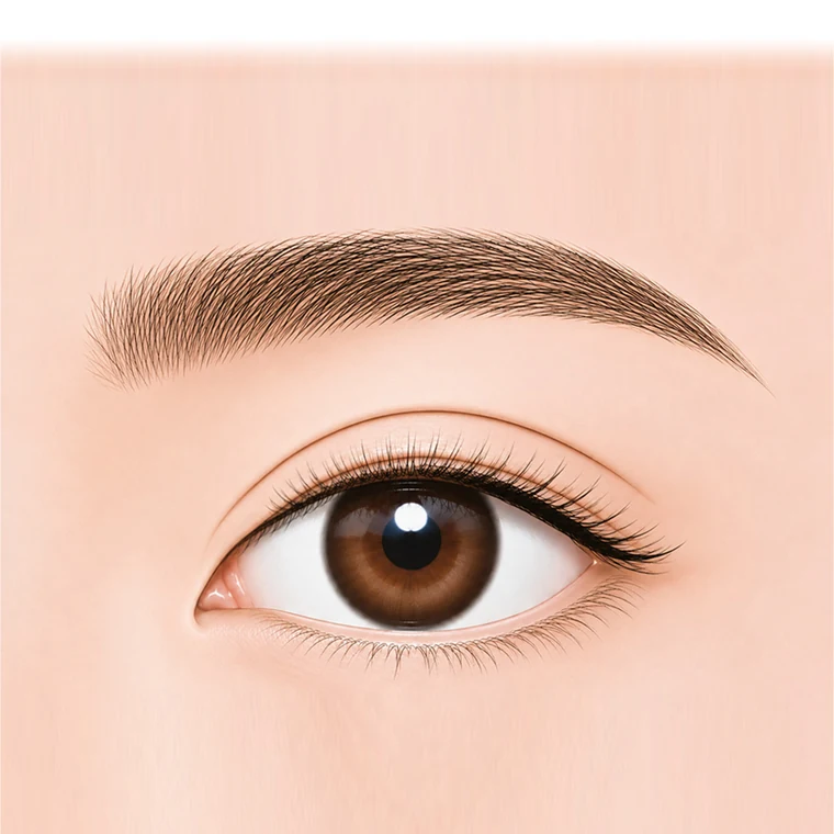 Semi-Outline Double Eyelid Diagram